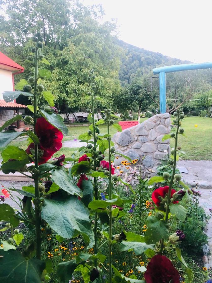 Dreamland Lagodekhi & Wine Cellar Экстерьер фото